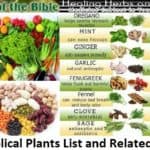 139 Biblical Plants List and Related Terms | Foods of the Bible