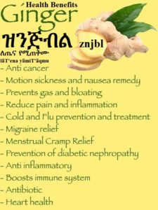 Ginger Health Benefits-ዝንጅብል