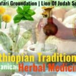Ethiopian Traditional Herbal Medicine | Botanica