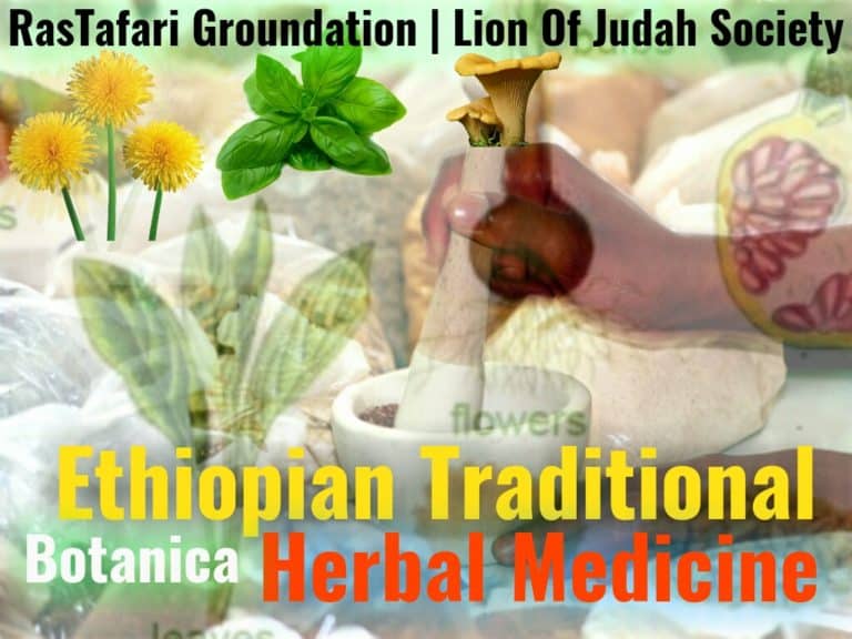 Ethiopian Traditional Herbal Medicine Botanica LOJSociety Lion Of Judah Society