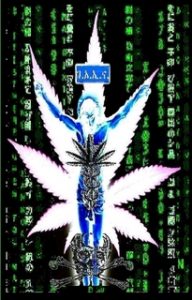 THE CANNABIS MATRIX (The Seshat Appendix) – A Trilogy of Selected Essays of Ioannes, the Composer