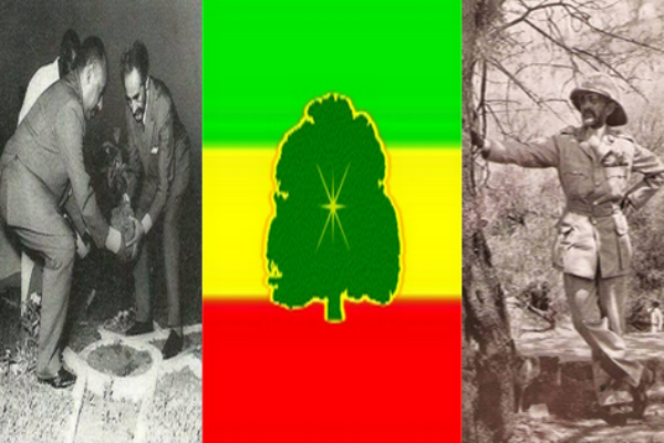 Rastafari Gardening | Gardening in Aiyasus Kristos, Allmighty Son of The Heavenly Father