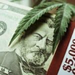 3 Pot Stock Investments to Watch Now