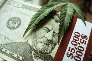 3 Pot Stock Investments to Watch Now