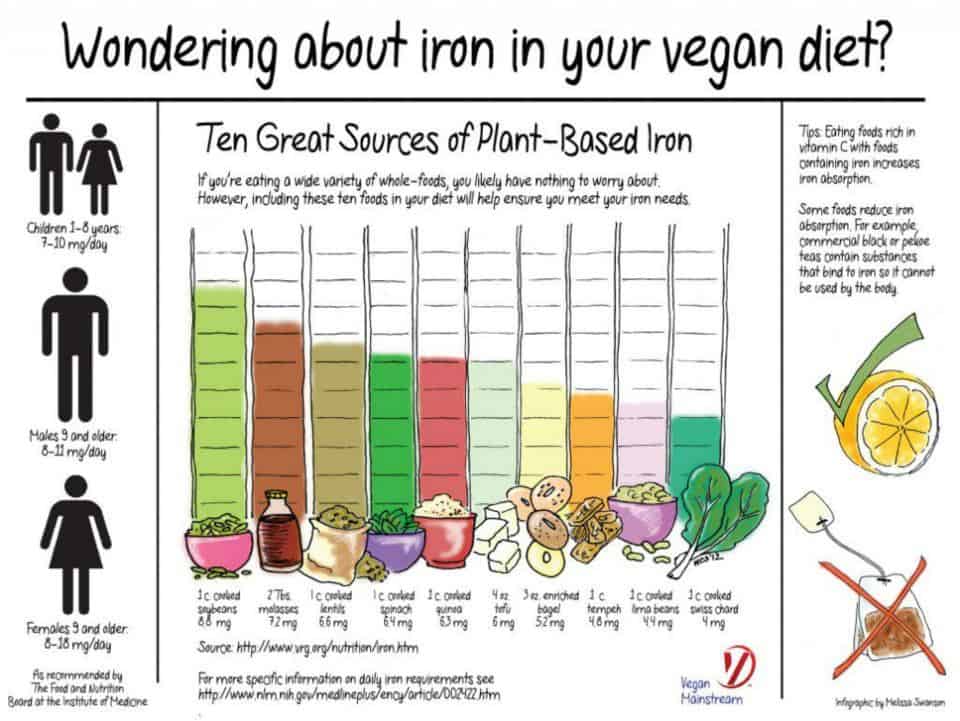 Iron For Vegans | Vegetarians