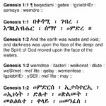 Ethiopic Torah Geez English Bilingual Old Testament Bible - Octateuch