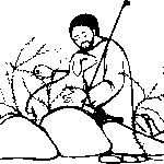 LOJ Basic TEACHING Modules