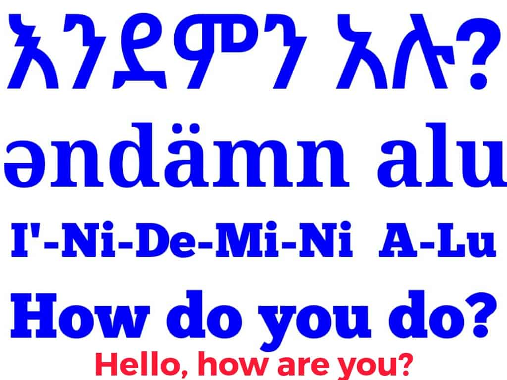 Hello how are you Amharic