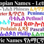 Ethiopian Names - Letter P - Amharic Names የአማርኛ ስሞች