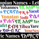 Ethiopian Names - Letter Y - Amharic Names የአማርኛ ስሞች