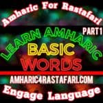 Learn Amharic Basic Words Part 1 Instagram