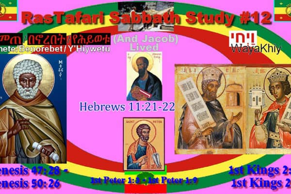 This Week’s Reading #12