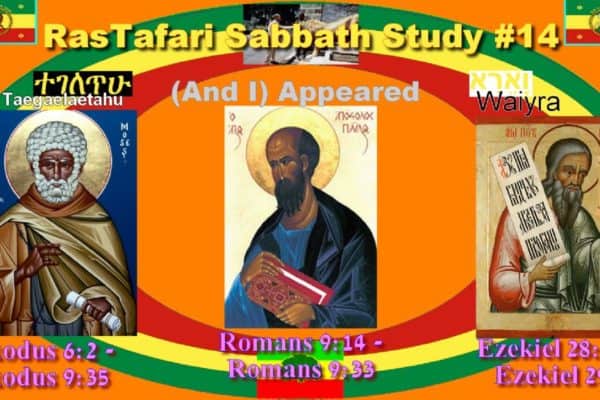 This Week’s Reading #14