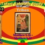Mattot | מסעי | "Tribes" ነገዶች | Negedoch