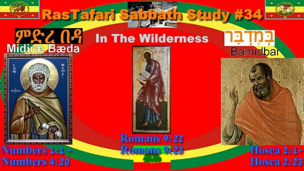 Bamidbar | במדבר | "In the wilderness" ምድረ በዳ | m’d’re beda [midre beda]