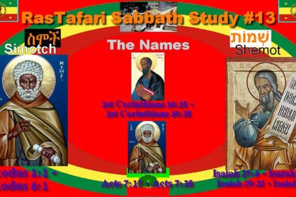 This Week’s Reading #13