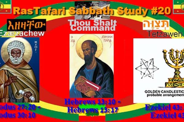 This Week’s Reading #20