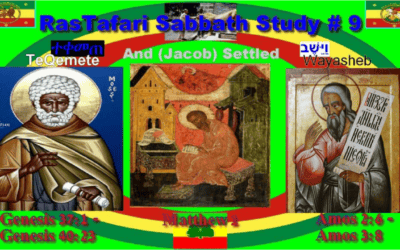 This Week’s Reading #9