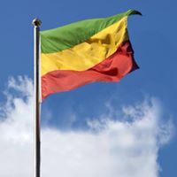 Profile picture of Fasil Alemayehu