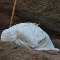 Profile picture of Selamawit Tafari