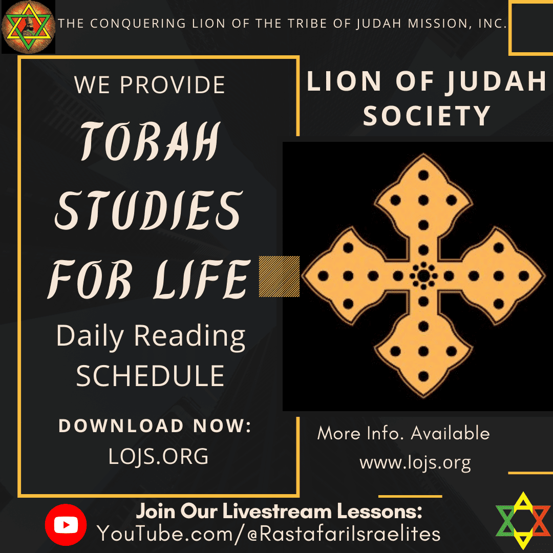 Torah Studies For Life