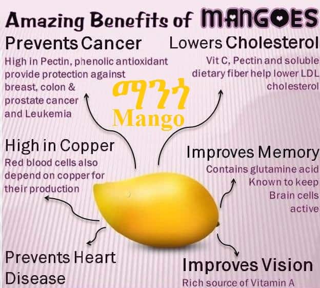 Amazing Benefits Of Mangoes-ማንጎ