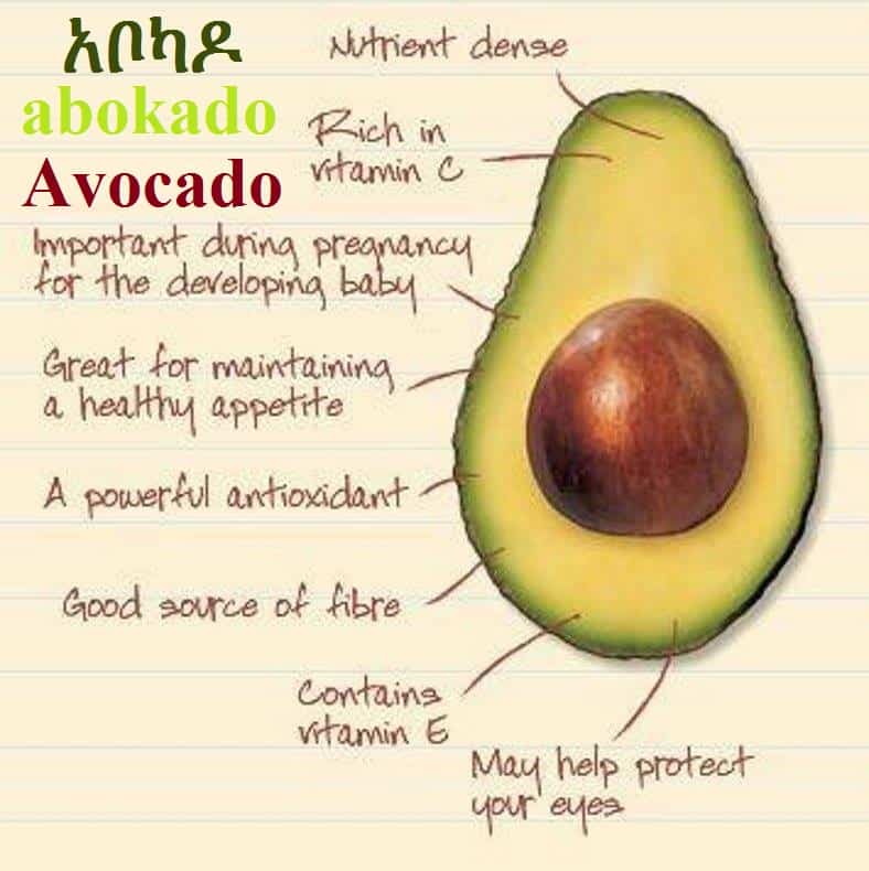 Avocado Health Facts-አቦካዶ