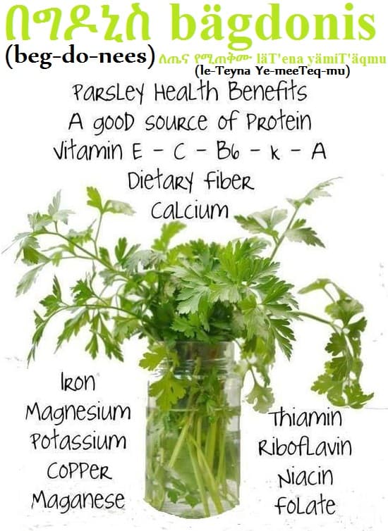 Parsley Health Benefits-በግዶኒስ